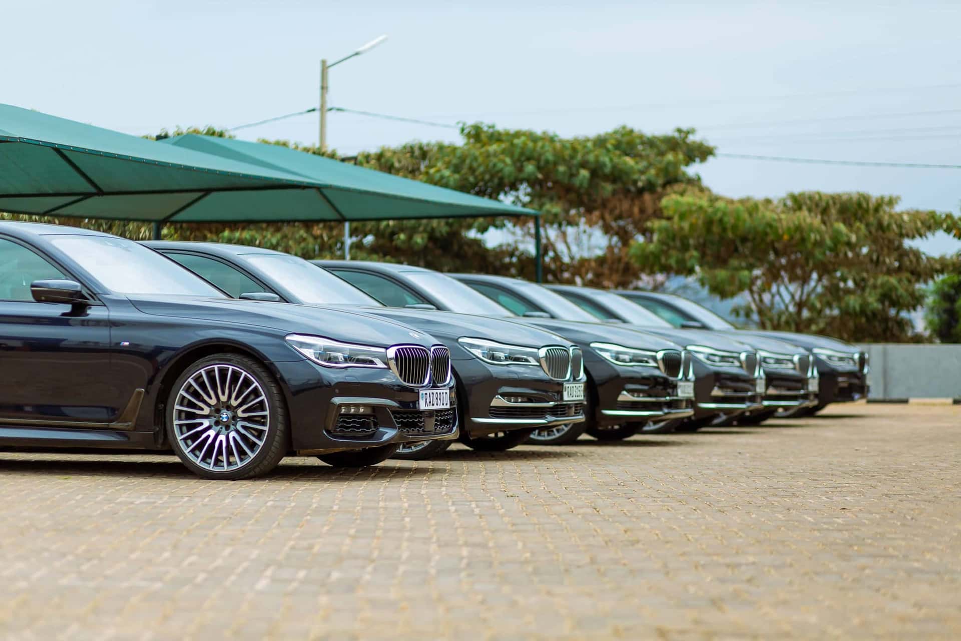 Rows of cars parked on a dealership lot on a sunny day